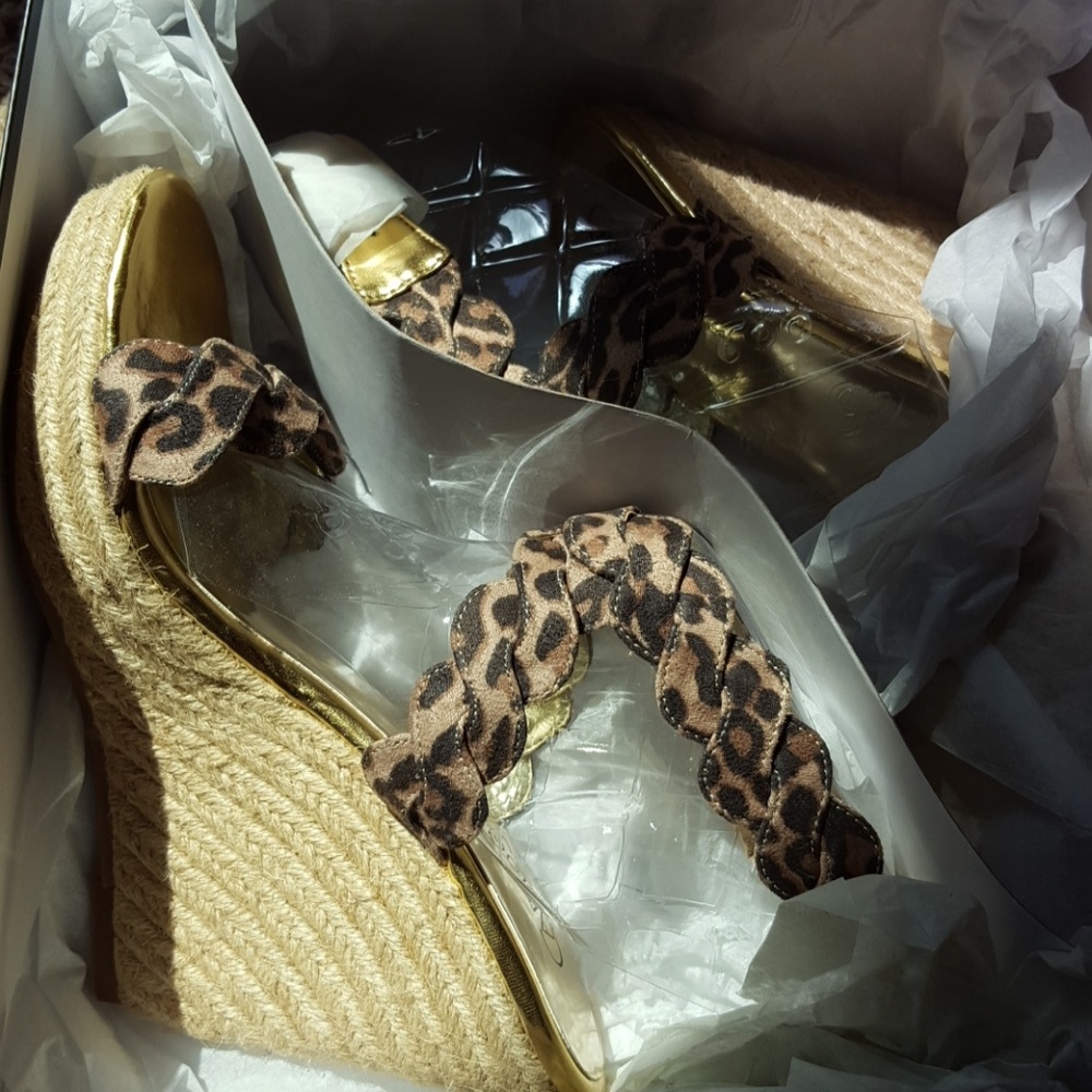 Shoe